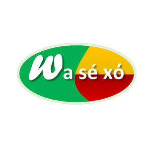 Logo Wasexo